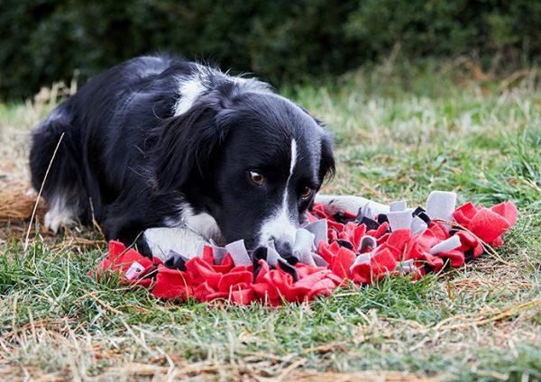 snuffle mat for dogs