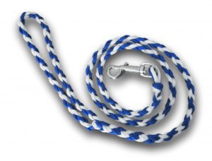Paracord dog lead blue and white