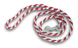 Paracord dog lead red and white