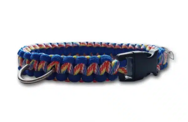 A handmade dog collar braided with blue and candy coloured rainbow stripe paracord 550 in the cobra knot style