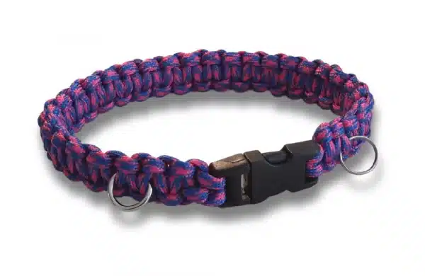A handmade dog collar braided with a pink and blue multicoloured paracord 550 in the cobra knot style