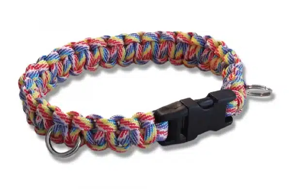 A handmade dog collar braided with rainbow coloured candy striped paracord 550 in the cobra knot style