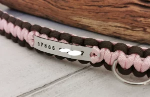 A handmade dog collar braided with paracord 550 in the cobra knot style with a metal tag displaying an emergency contact number (blurred for privacy)