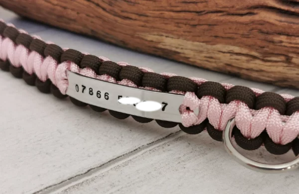 A handmade dog collar braided with paracord 550 in the cobra knot style with a metal tag displaying an emergency contact number (blurred for privacy)