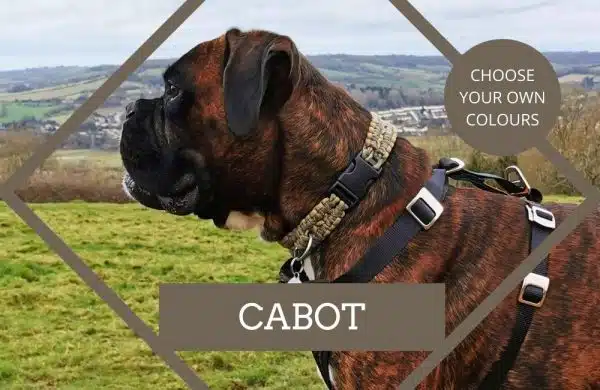 Bespoke dog collar design service 'Cabot' wide solomon bar knot design handmade in your choice of paracord colours