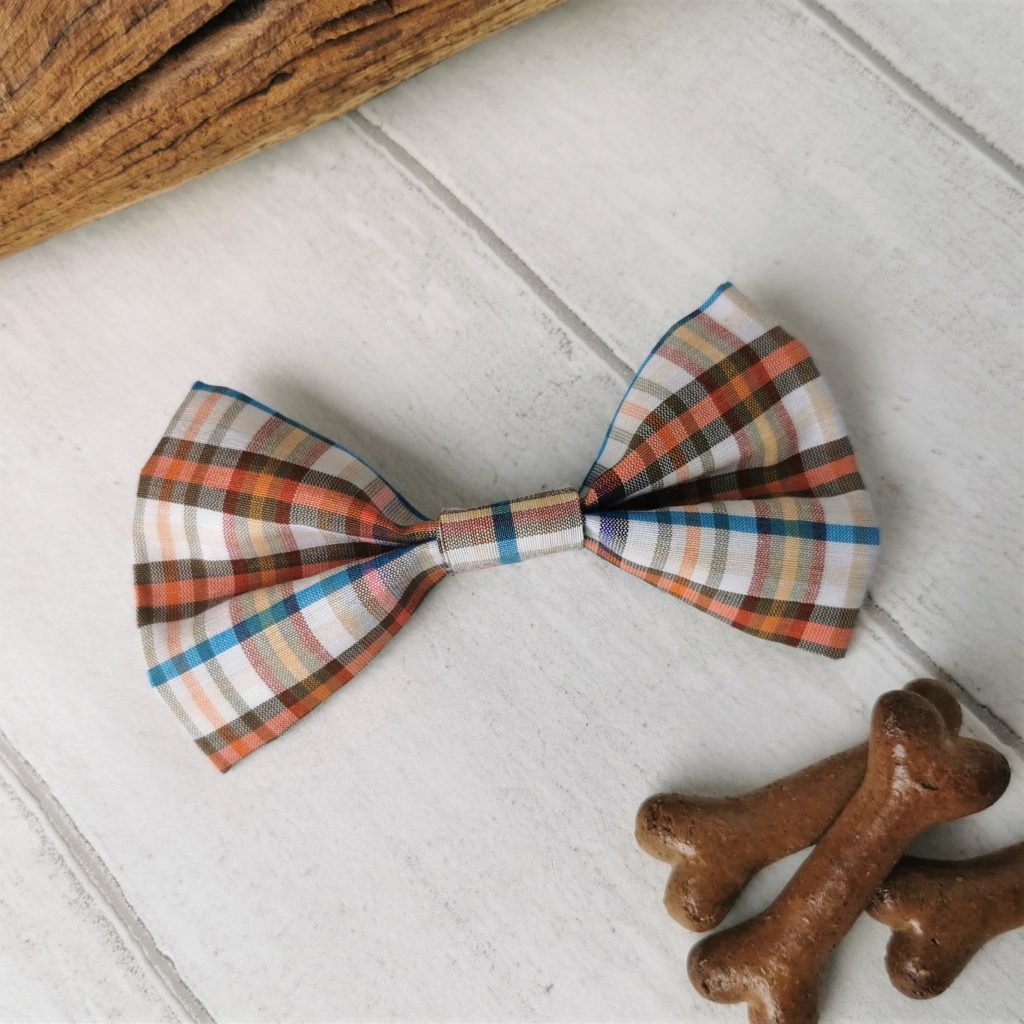 Casual check dog bow tie