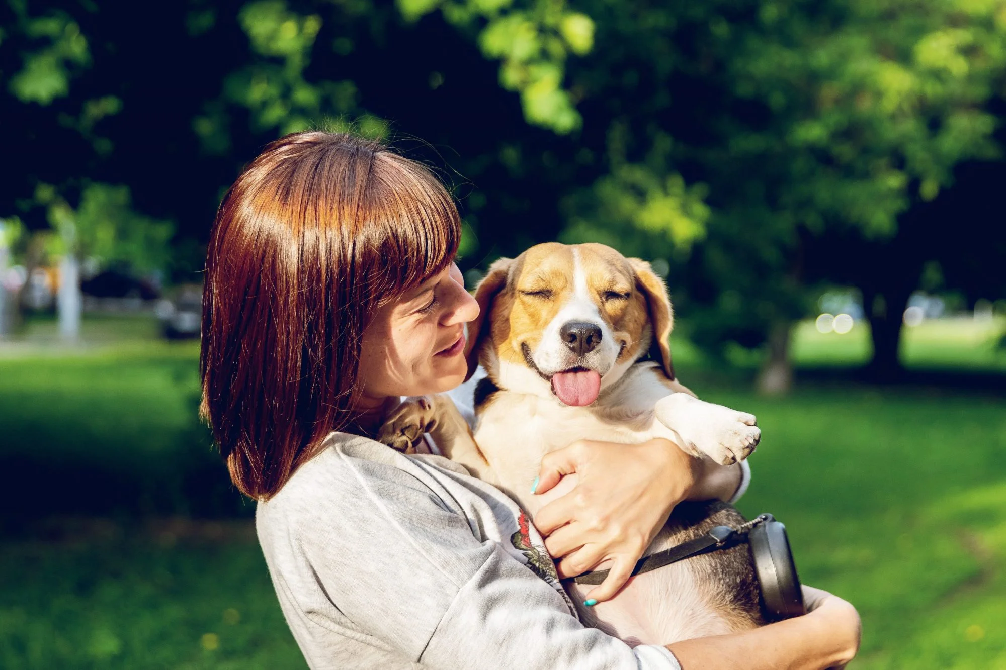 Good fur the soul – The benefits of Therapy Dogs