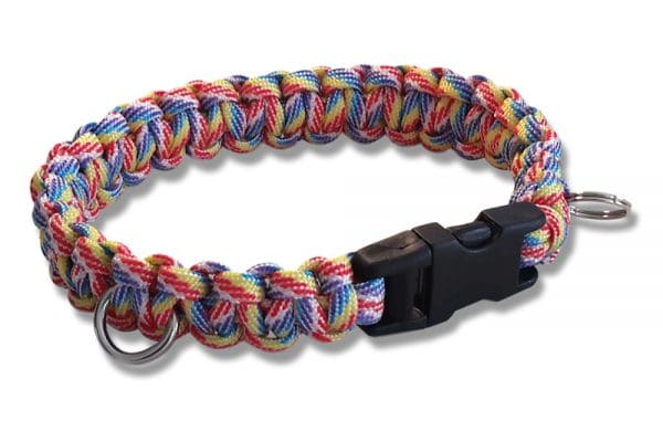 paracord dog collar cobra knot rainbow
