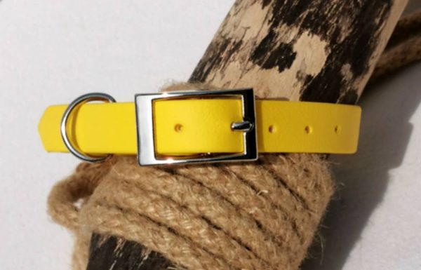 yellow biothane dog collar small