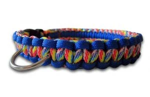 paracord dog collar cobra knot rainbow