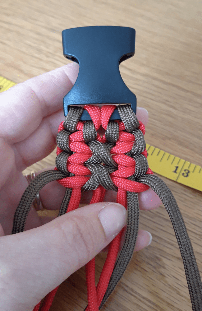 Paracord dog collar solomon bar knot