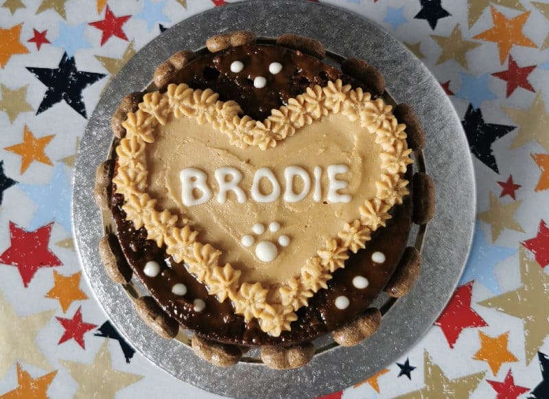 A round 5"diameter cake for dogs on a star background. The cake is personalised with the name 'Brodie' in white yoghurt icing